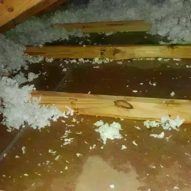 Attic Water Damage in Central Waterford, CT